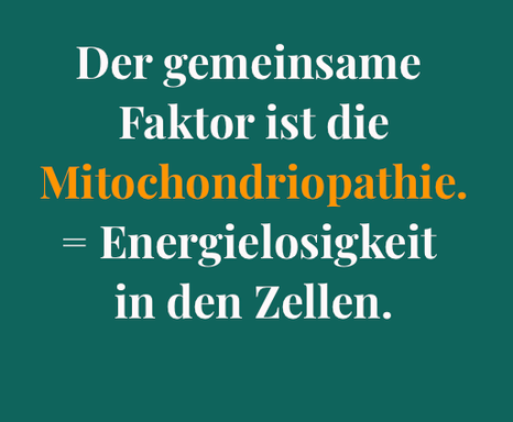 Mitochondriopathie
